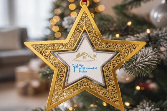 Vánoční dům Vrbno rozsvícení a pohled na ulici